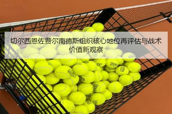 切尔西恩佐费尔南德斯组织核心地位再评估与战术价值新观察