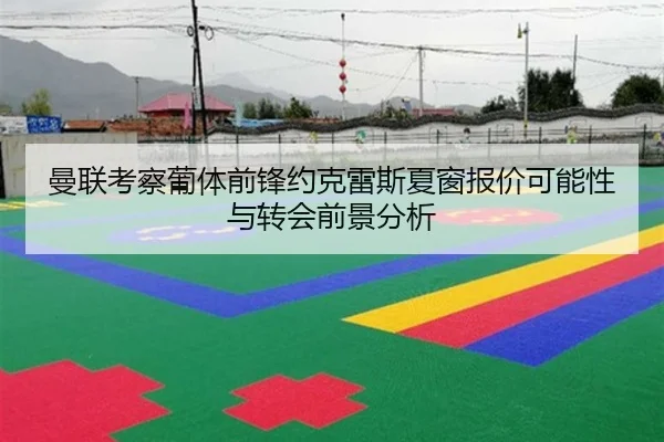 曼联考察葡体前锋约克雷斯夏窗报价可能性与转会前景分析